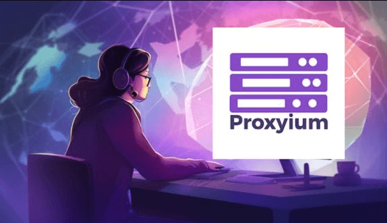 Understanding Proxiyum's Functionality